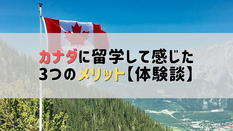 雄大な自然の中に立つカナダの国旗